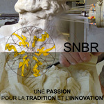 snbr 20 ans